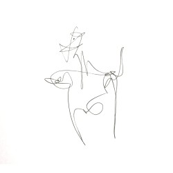 Le cavalier de taureau - Avishay Nagar