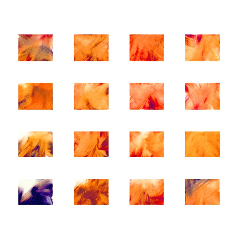 Phase Sapiens N°2 - Avishay Nagar