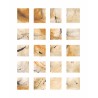 Phase Sapiens N°3