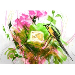 Tit on a flower - Avishay Nagar